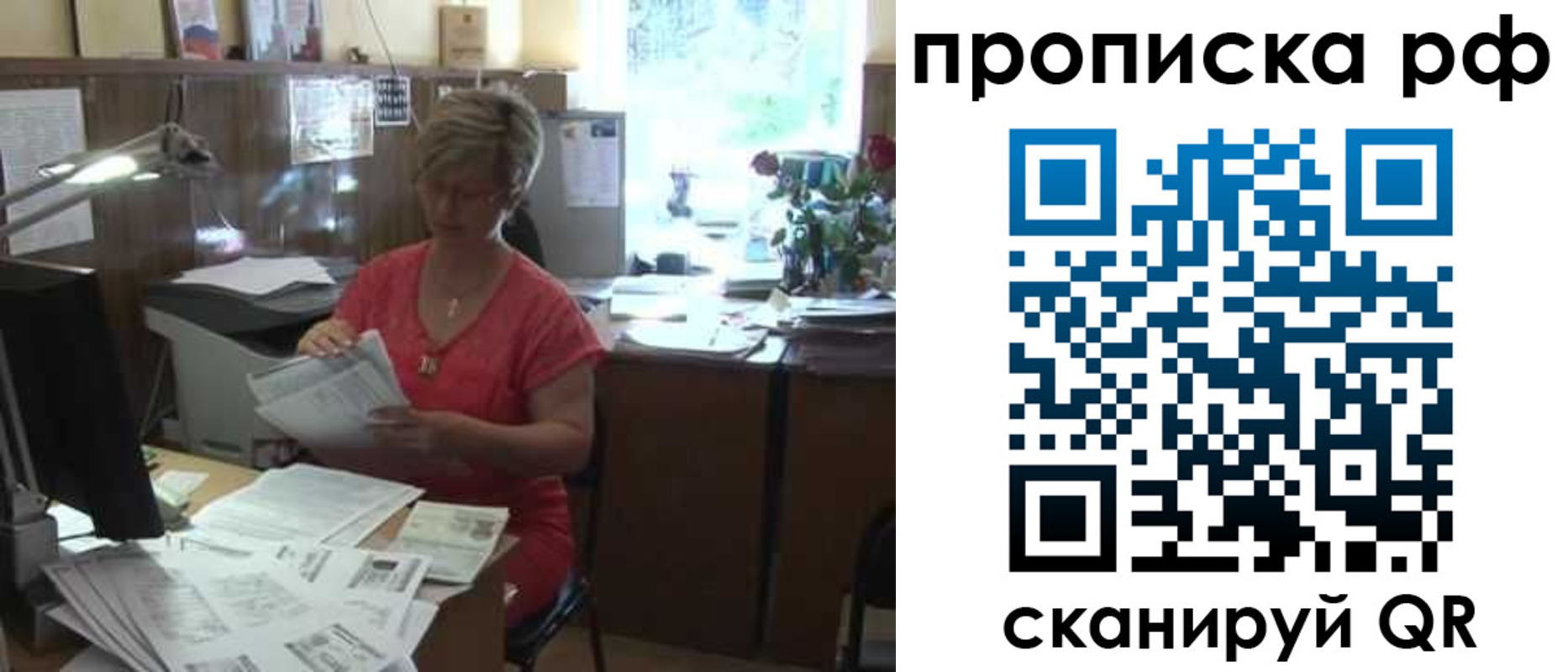 прописка законно в Купино